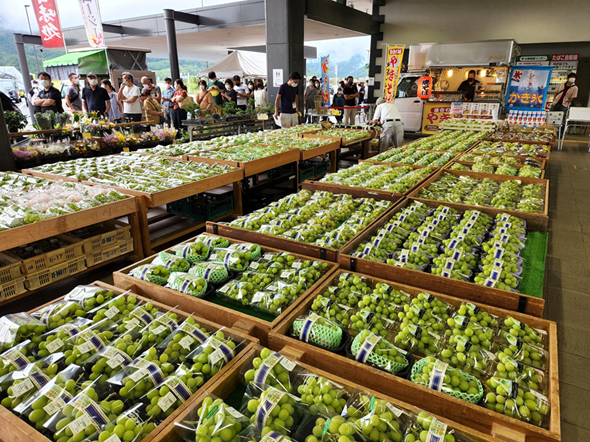 店内の様子、マスカットが陳列されている