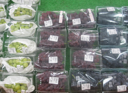 ぶどうとマスカットが陳列されている