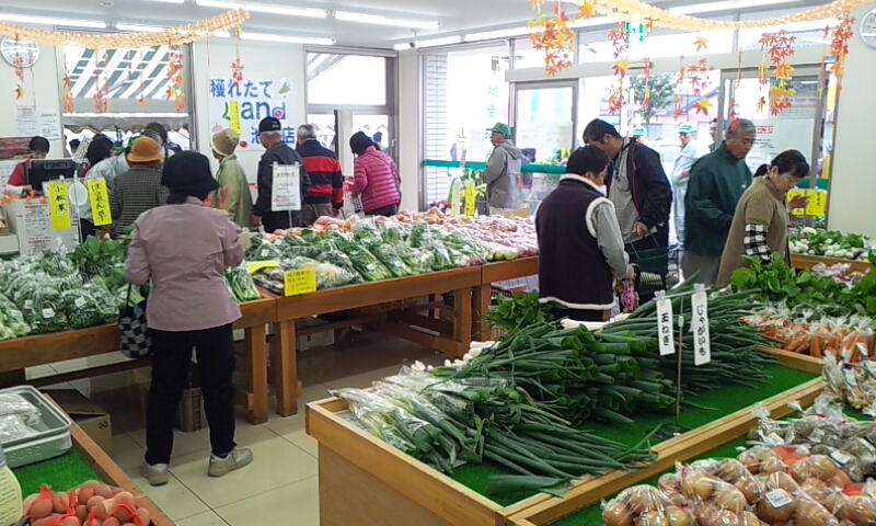 穫れたてLand池田の店内の様子
