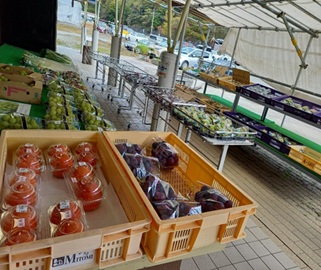 農産物店頭売り場