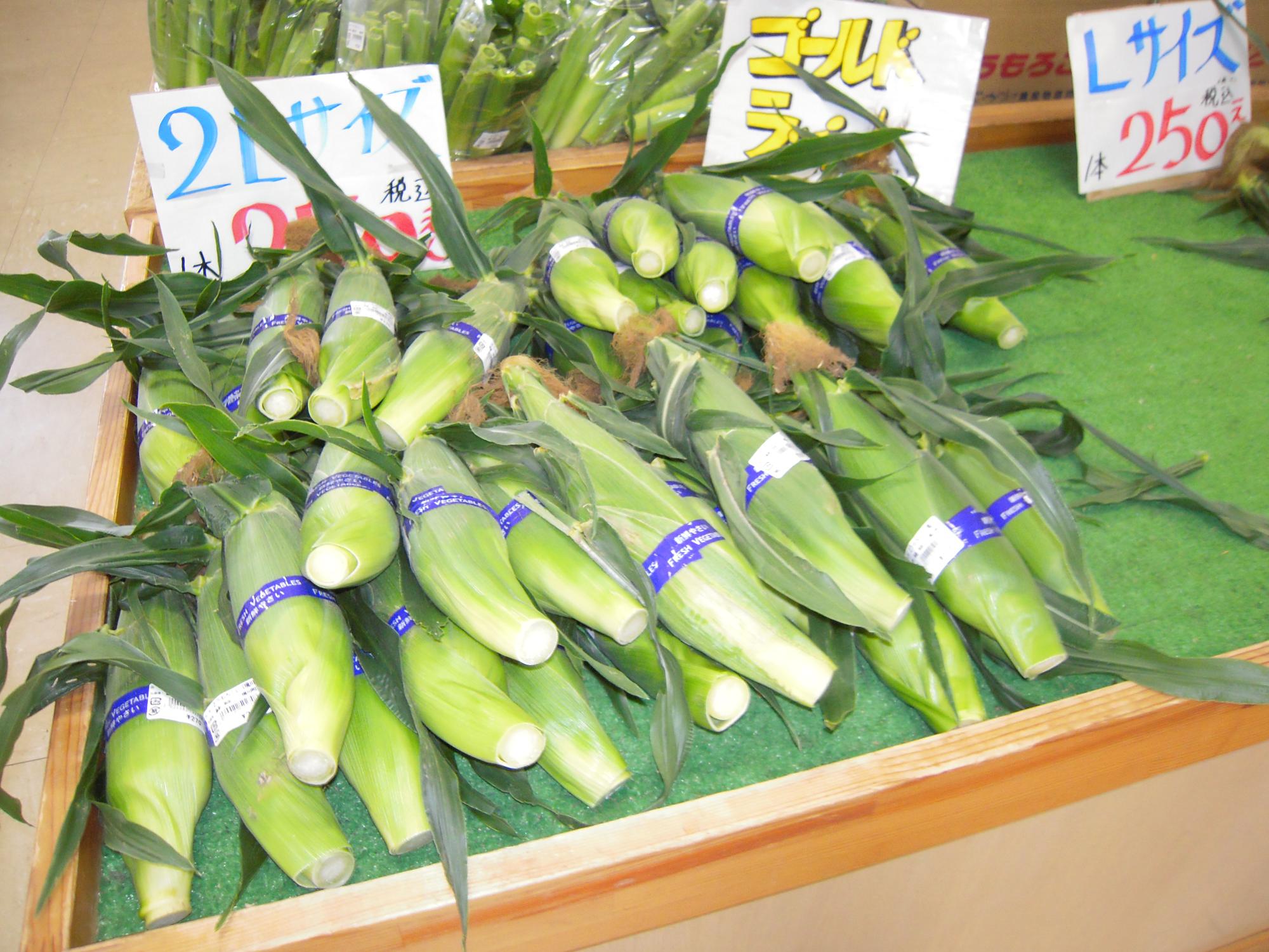 さかいがわ農産物直売所の店内、とうもろこしが陳列されている